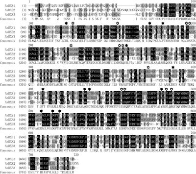 Molecular Characterization of the 1-Deoxy-D-Xylulose 5-Phosphate Synthase Gene Family in Artemisia annua
